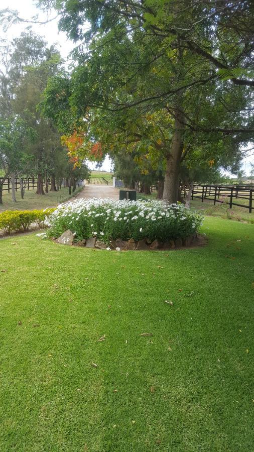 Prosper Stud Guest House Robertson Exterior photo